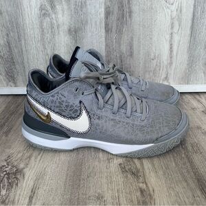 Nike Zoom Lebron NXXT Gen Sneakers Mens 13 Wolf Grey Basketball Shoes